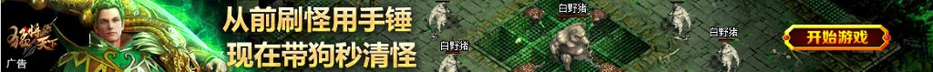 海鸥股份股票